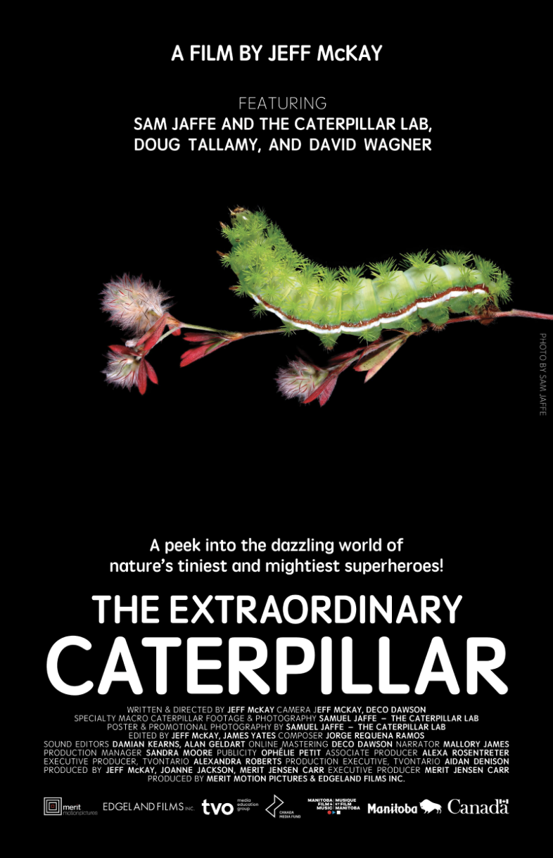 Movie poster for 'The Extraordinary Caterpillar' featuring a green caterpillar on a black background.